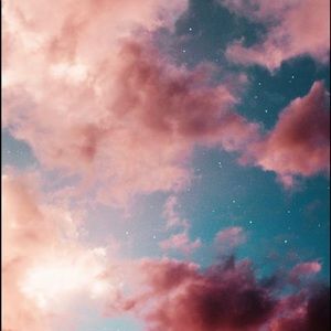 Meet your Posher, Ella